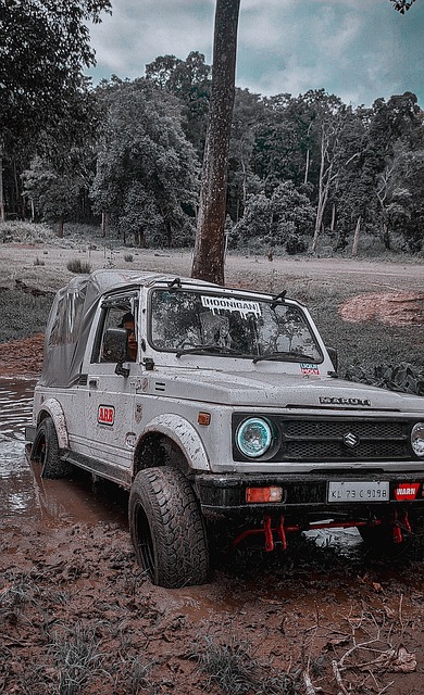 还填补了中 还填补了中