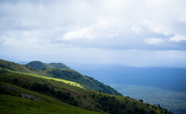 组的重点工 组的重点工