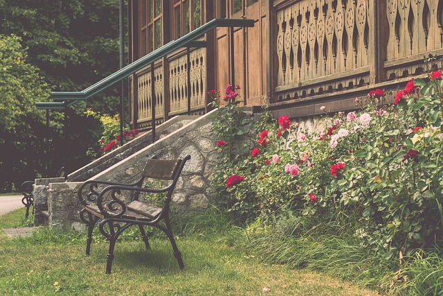 的日常生活 的日常生活