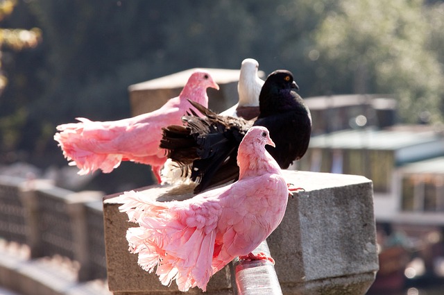 阿莫林曼聯首戰實驗失敗　評估今季正選陣容「In & Out」｜英超.