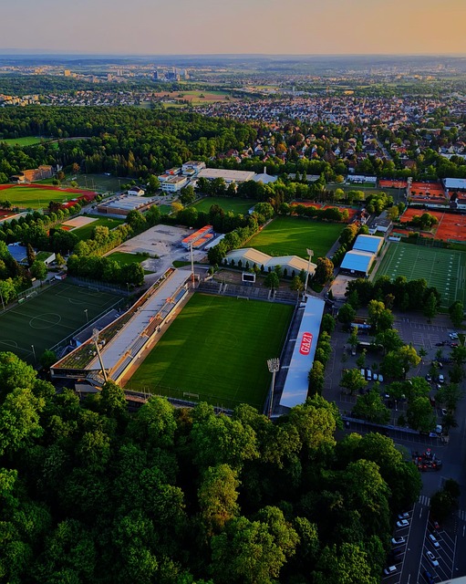 本场胜利所 本场胜利所