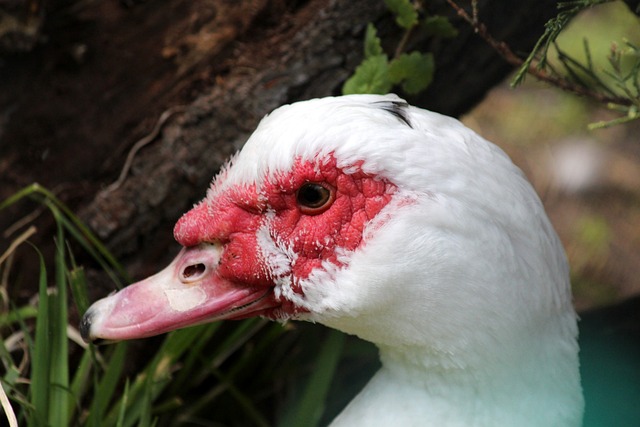细节与执行 细节与执行