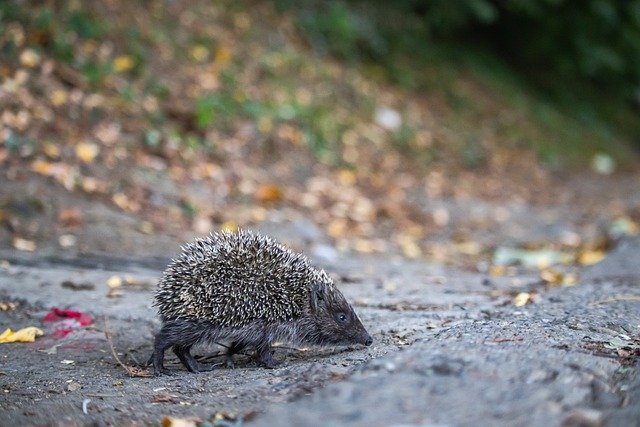 那么不仅需 那么不仅需