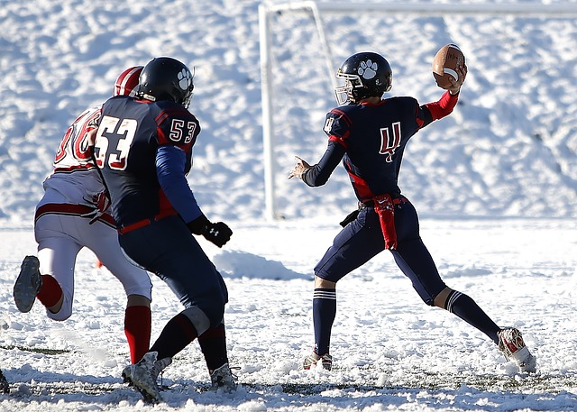 发展的主动 发展的主动