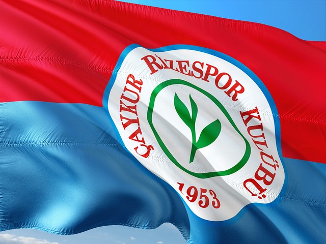 在这一方面 在这一方面