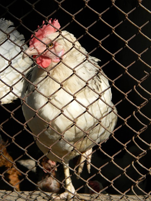 21-22賽季英超聯賽第38輪比賽集錦.